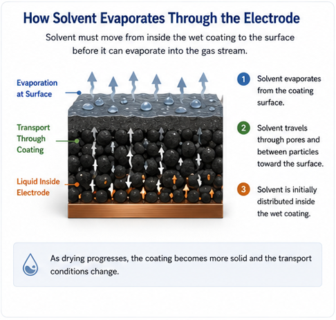 Battery_Electrode drying_How solvent evaporates through the electrode